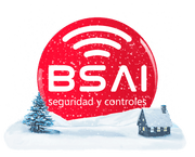 Bsai Seguridad y Controles