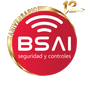 Bsai Seguridad y Controles