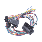 ARNES PARA CONECTOR OBD COMPATIBLE CON MODELOS TCO4LCV Y TCO4LCV3G-IoT, GPS y Telemática-RUPTELA-Bsai Seguridad & Controles