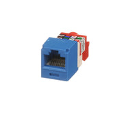 CONECTOR JACK RJ45 ESTILO T, MINI-COM, CATEGORÍA 5E, DE 8 POSICIONES Y 8 CABLES, COLOR AZUL-Cableado-PANDUIT-Bsai Seguridad & Controles