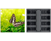 DAHUA DHI-PHGOA3.91-FC GABIENTE LED/PIEL PTCH 3.91MM/SMD/RESOLUCIÓN 256X256/TAMAÑO DE GABINETE 1MX1M/BRILLO 5500 NITS/EXTERIOR IP65/100,000 HORAS/#LONUEVO #DIS-Gabinetes LED Int / Ext-DAHUA-Bsai Seguridad & Controles