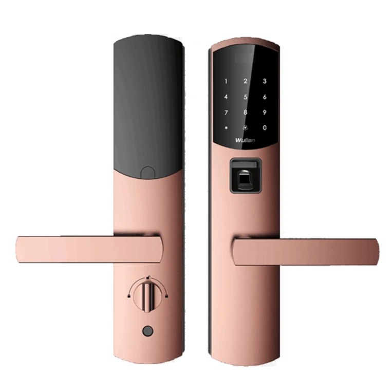 WULIAN SMARTBERNLOCK - CERRADURA BIOMETRICA INTELIGENTE / PASSWORD / HUELLA DIGITAL / GENERE USUARIOS TEMPORALES Y LIMITE EL TIEMPO DE ACCESO-Inteligente-WULIAN-Bsai Seguridad & Controles