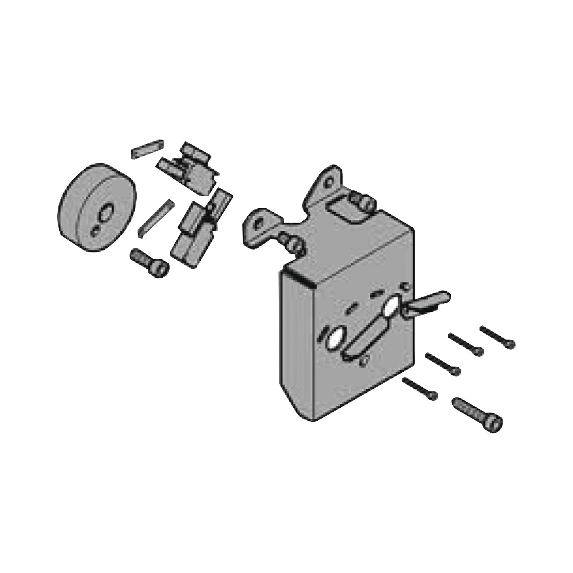 REFACCION PARA GARD4 / GRUPO DE INTERRUPTORES PARA FRENADO Y FINAL DE CARRERA.-Acceso Vehicular-CAME-Bsai Seguridad & Controles