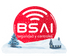Bsai Seguridad y Controles