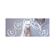 MILLENNUM IP SOFT LITE SOFTWARE DE GESTION-Audio, Video y Voceo-EGI AUDIO SOLUTIONS-Bsai Seguridad & Controles