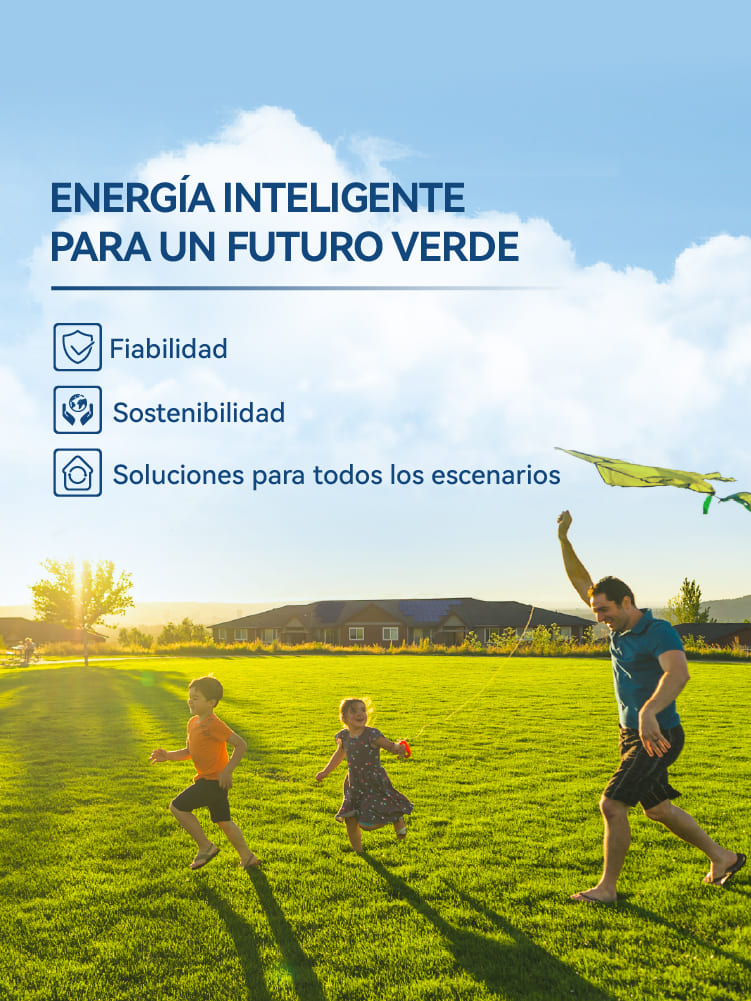 Bsai Seguridad y Controles
