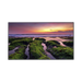 PANTALLA PROFESIONAL LED DE 55", UHD 4K (3840X2160P), ENTRADAS DE VIDEO HDM, BOCINAS INTEGRADAS DE 10 W. COMPATIBLE VESA-Monitores Pantallas y Mobiliario-SAMSUNG ELECTRONICS-Bsai Seguridad & Controles
