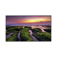PANTALLA PROFESIONAL LED DE 65", UHD 4K (3840X2160P) / ENTRADAS DE VIDEO HDM / BOCINAS INTEGRADAS DE 10 W. COMPATIBLE VESA / COMPATIBLE CON MAGICINFO-Monitores Pantallas y Mobiliario-SAMSUNG ELECTRONICS-QB65C-Bsai Seguridad & Controles