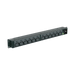 PDU BÁSICO PARA DISTRIBUCIÓN DE ENERGÍA, ENCHUFE DE ENTRADA NEMA L6-20P, CON 13 CONTACTOS C13, INSTALACIÓN HORIZONTAL DE 19IN, 1UR, 20 AMP, 120 O 220 VCA-Pdu-PANDUIT-Bsai Seguridad & Controles