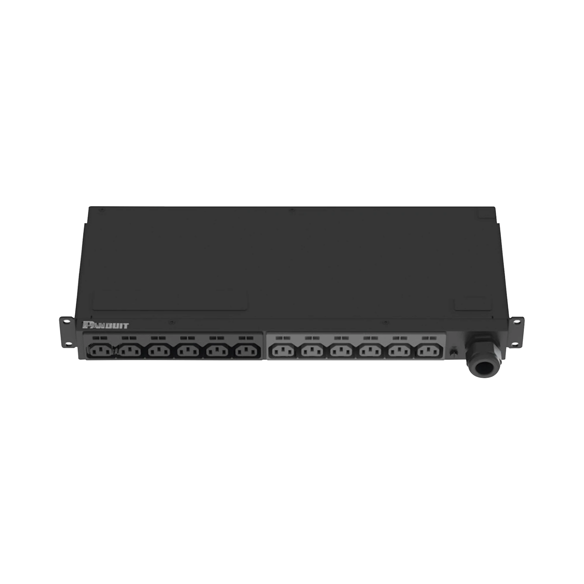 PDU BÁSICO PARA DISTRIBUCIÓN DE ENERGÍA, ENCHUFE DE ENTRADA NEMA L6-30P, CON 12 CONTACTOS C13, INSTALACIÓN HORIZONTAL DE 19IN, 1UR, 20 AMP, 208 VCA-Pdu-PANDUIT-Bsai Seguridad & Controles