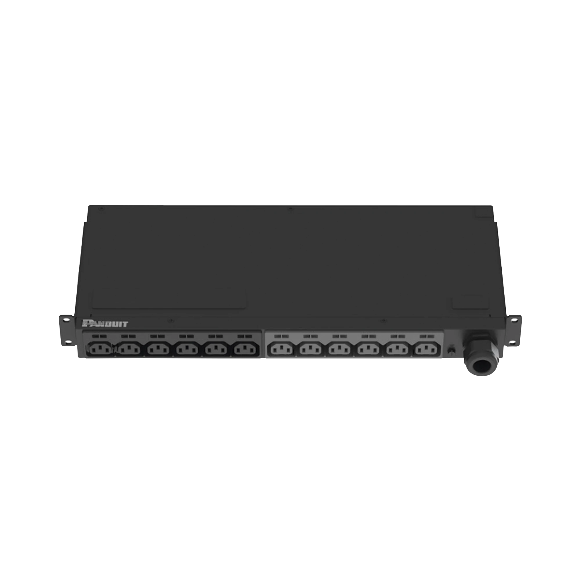 PDU BÁSICO PARA DISTRIBUCIÓN DE ENERGÍA, ENCHUFE DE ENTRADA NEMA L6-30P, CON 12 CONTACTOS C13, INSTALACIÓN HORIZONTAL DE 19IN, 1UR, 20 AMP, 208 VCA-Pdu-PANDUIT-Bsai Seguridad & Controles