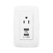 PLACA CON TOMA DE CORRIENTE 2P Y T Y CONECTOR USB TIPO HEMBRA / 15 A 127 V 60 HZ + DC 5V / 2A.-Iluminación-JWJ-Bsai Seguridad & Controles