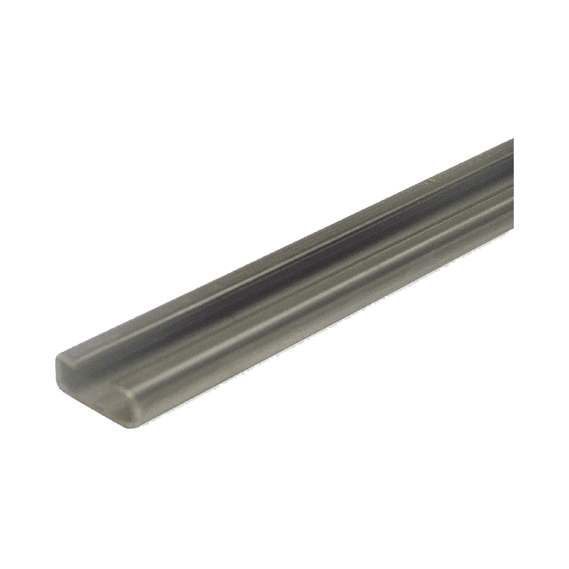 RIEL TIPO C COMPATIBLE CON ACCESSFORCE Y FS1000SPEED-Acceso Vehicular-ACCESSPRO-Bsai Seguridad & Controles