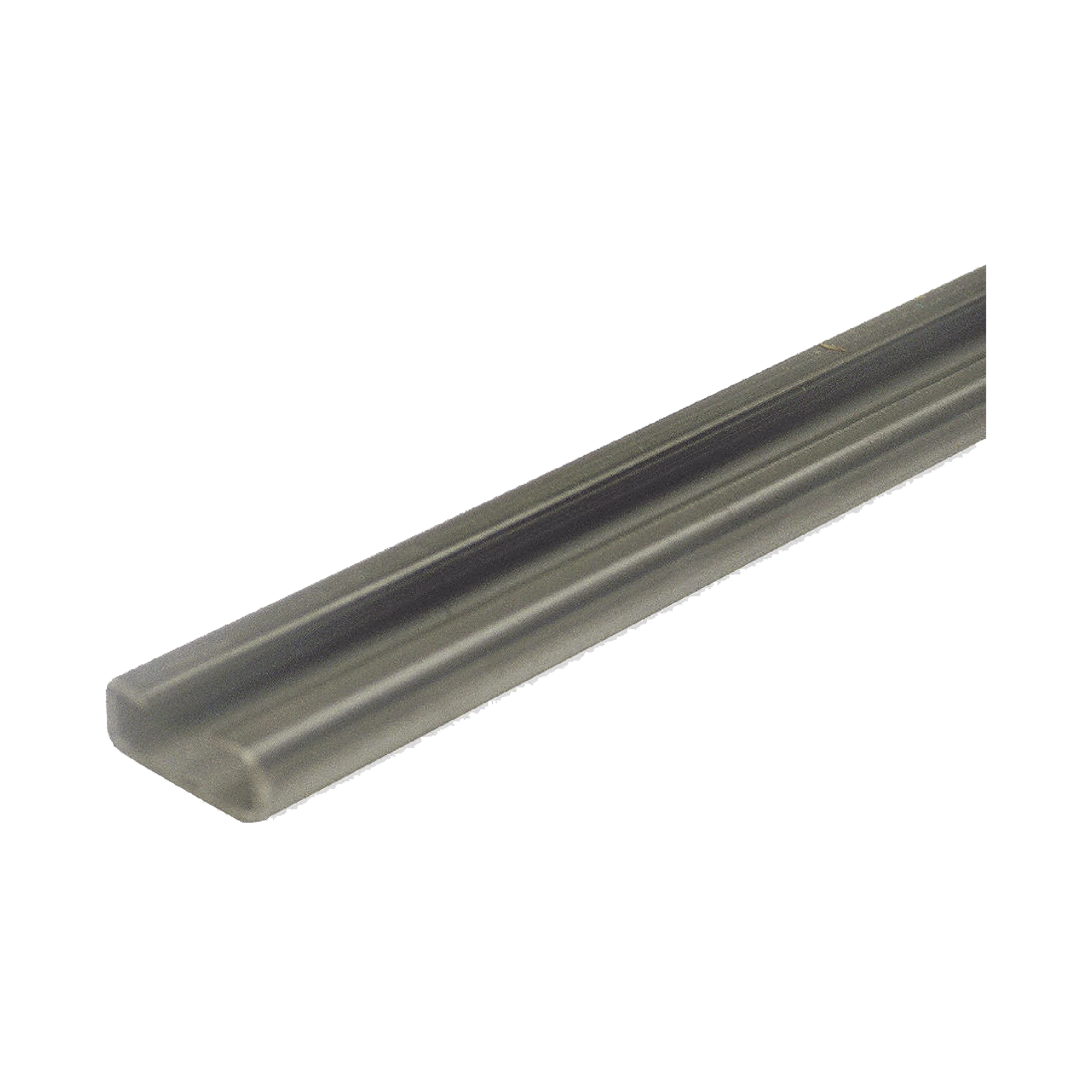 RIEL TIPO C COMPATIBLE CON ACCESSFORCE Y FS1000SPEED-Acceso Vehicular-ACCESSPRO-Bsai Seguridad & Controles