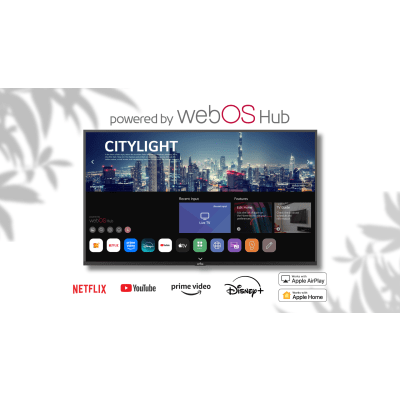 SMARTTV PARA EXTERIORES / 55" 4K UHD / 500 NITS / SOL PARCIAL / WEBOS / IP54 / -30°C A 50°C / SOPORTE DE PARED INCLINADO