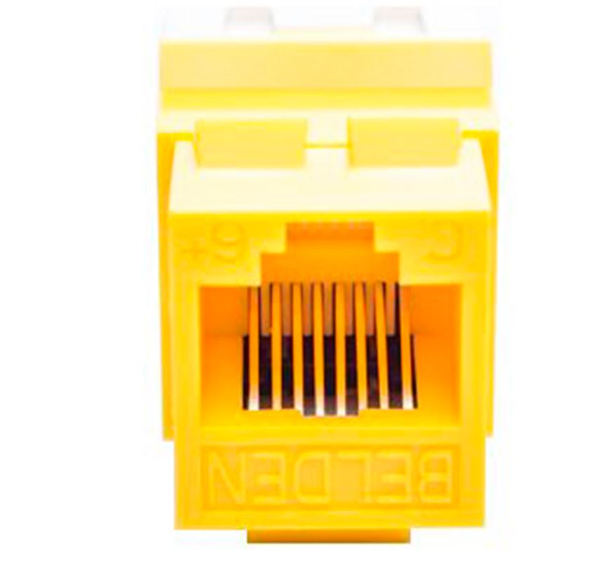 CONECTOR MODULAR JACK CAT6+ RJ45 BELDEN AX104191 / KEYCONNECT / INTERIOR / AMARILLO / PIEZA-Conectores-BELDEN-Bsai Seguridad & Controles