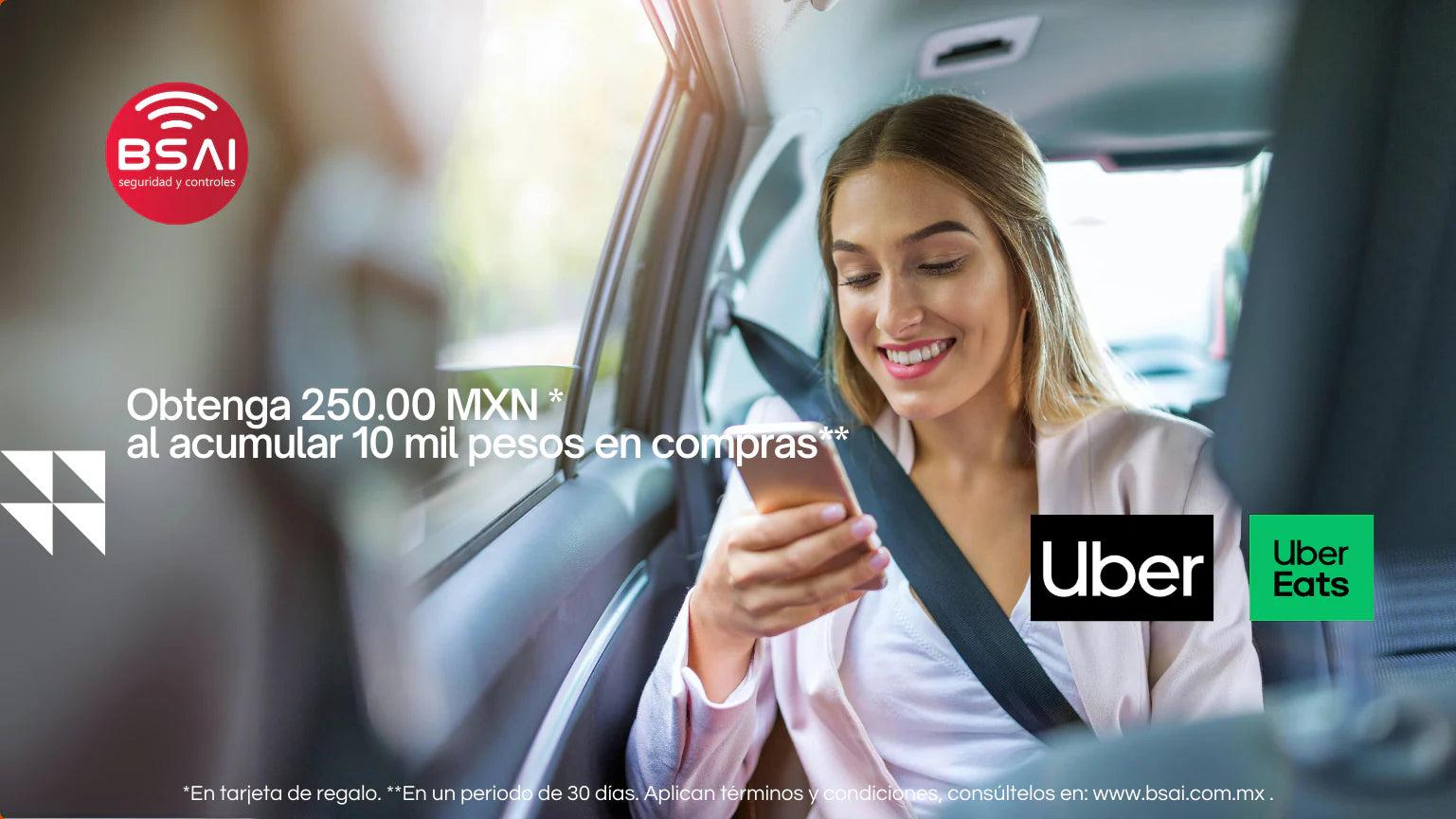 Bsai Seguridad y Controles