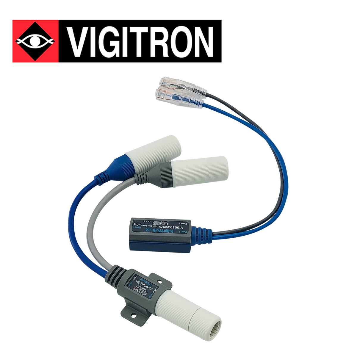 VIGITRON VI00103W VIGITRON Bsai Seguridad y Controles