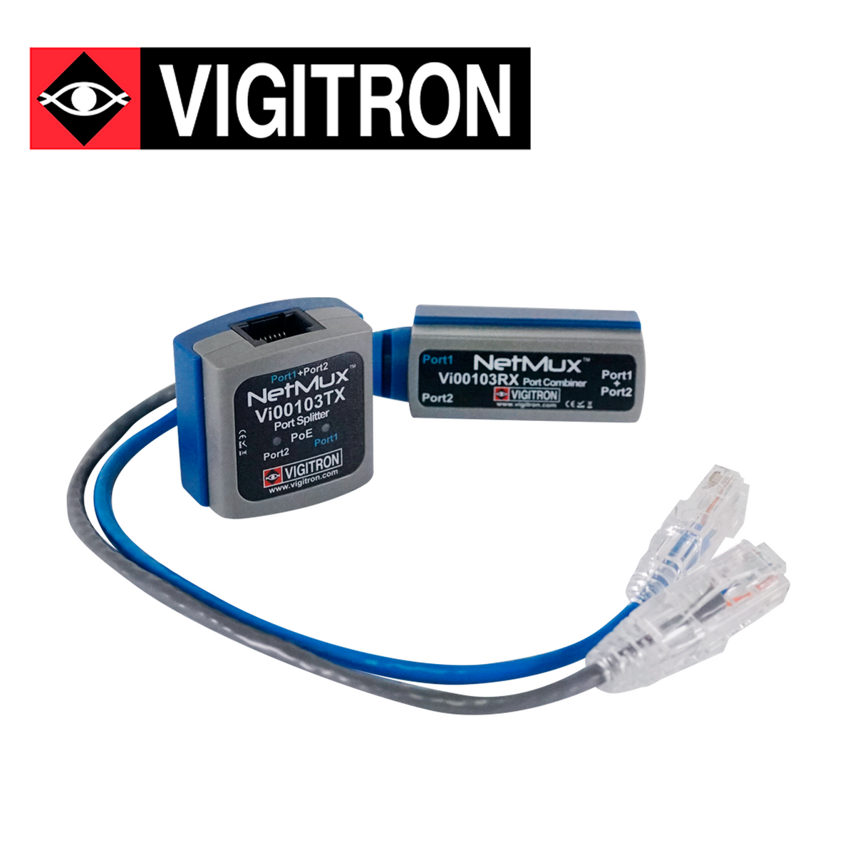 VIGITRON VI00103 VIGITRON Bsai Seguridad y Controles