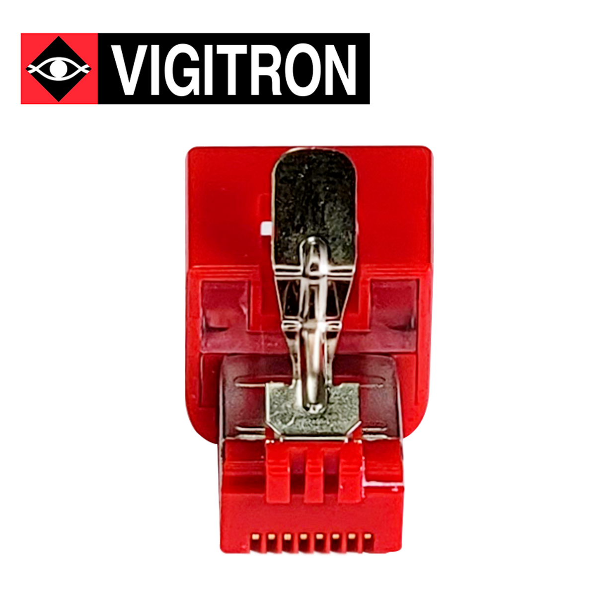 VIGITRON VI2001 VIGITRON Bsai Seguridad y Controles