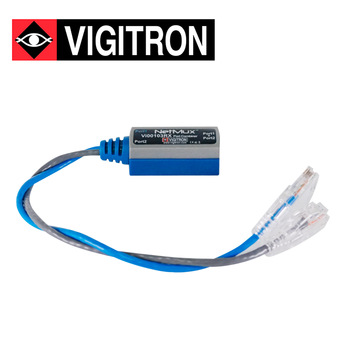 VIGITRON VI00103 VIGITRON Bsai Seguridad y Controles