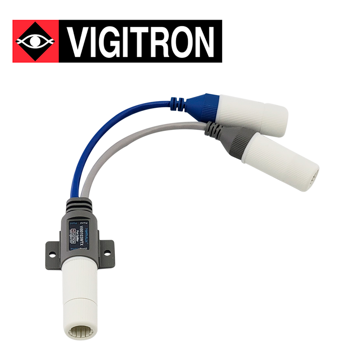 VIGITRON VI00103W VIGITRON Bsai Seguridad y Controles