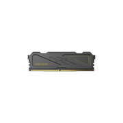 MODULO DE MEMORIA RAM DDR4 DE COLOR NEGRO 16 GB / 3200 MHZ / PARA EQUIPO DE RACK O ESCRITORIO / UDIMM-Almacenamiento-HIKSEMI BY HIKVISION-Bsai Seguridad & Controles