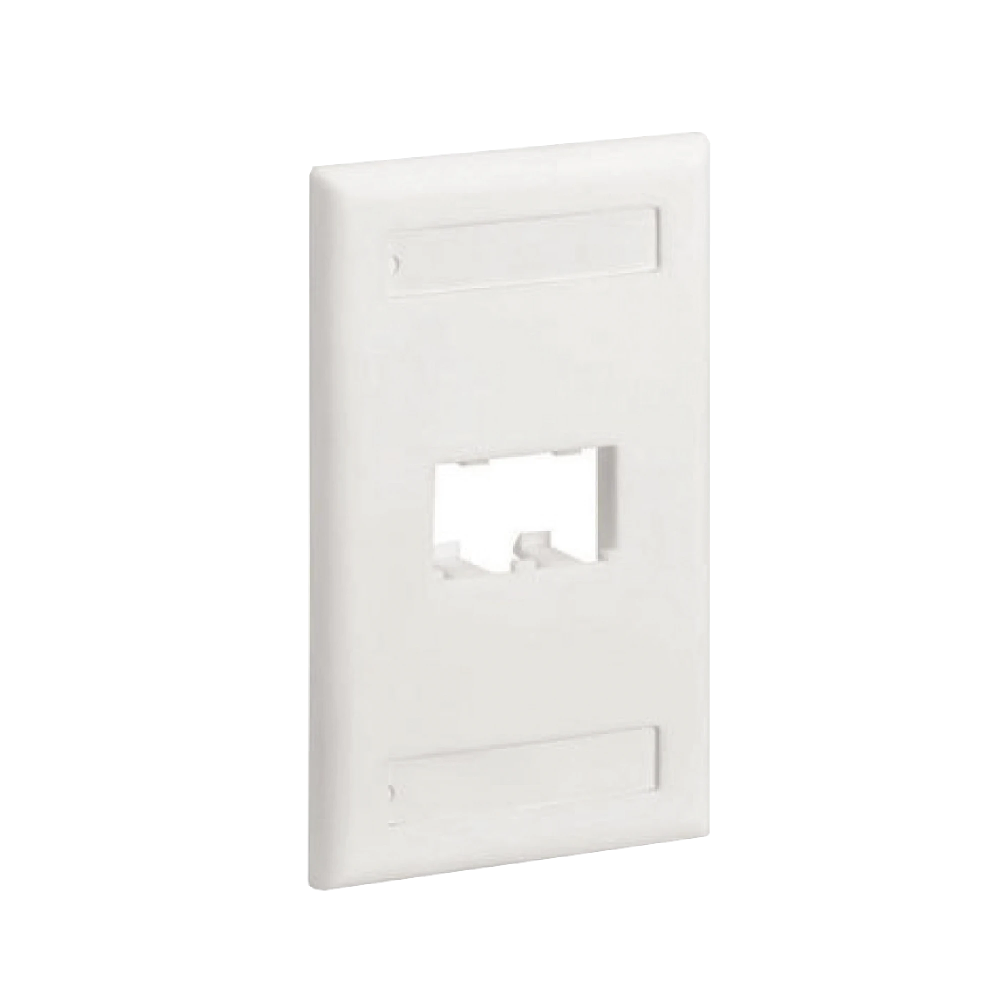 PLACA DE PARED VERTICAL CLASICA, SALIDA PARA 2 PUERTOS MINI-COM, CON ESPACIOS PARA ETIQUETAS, COLOR BLANCO-Faceplates-PANDUIT-Bsai Seguridad & Controles